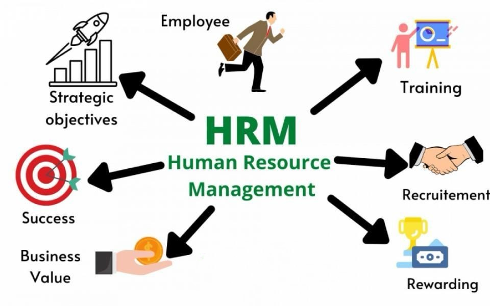 Human Resources (HR): The Engine Behind the Workforce