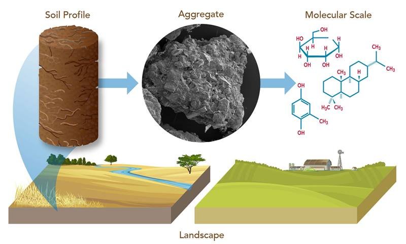 Soil Chemistry Insights: Underground Science