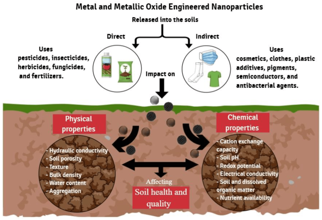 Soil Chemistry Insights: Underground Science