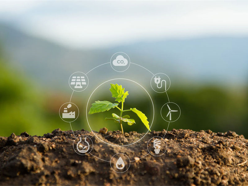 Soil Chemistry Insights: Underground Science