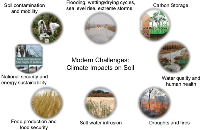 Soil Chemistry Insights: Underground Science