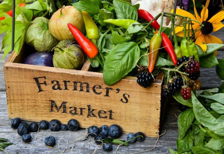 Farmers' Markets: Local Agriculture and Community Support