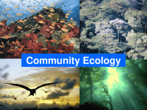 Community Ecology: Dynamics and Conservation Challenges