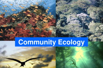 Community Ecology: Dynamics and Conservation Challenges