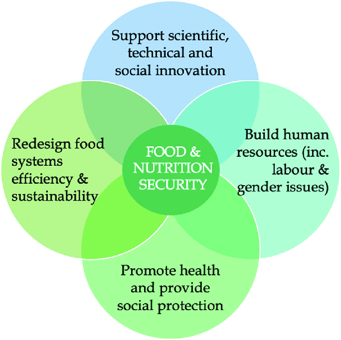 Community Nutrition: Enhancing Health via Group Initiatives