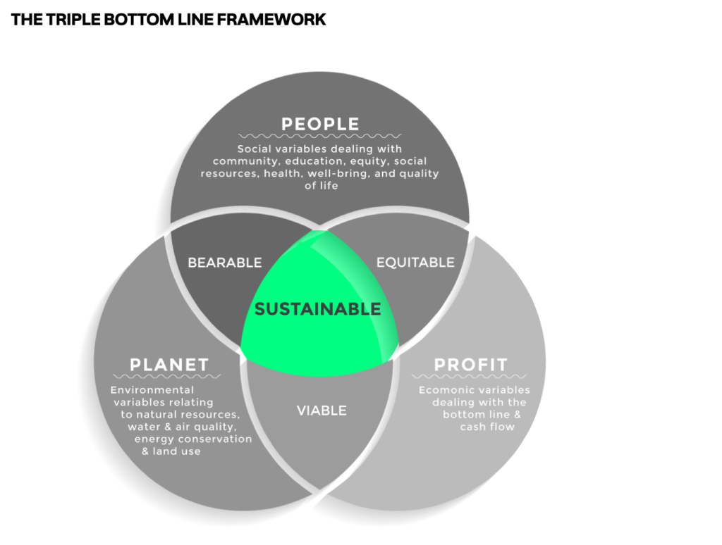 From Idea to Impact: The Journey of Sustainable Startups